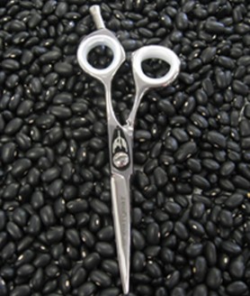 5- shears_for web2