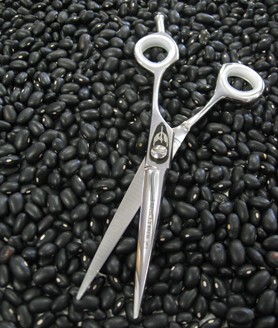 575 shears_for web